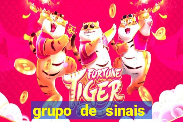 grupo de sinais fortune rabbit